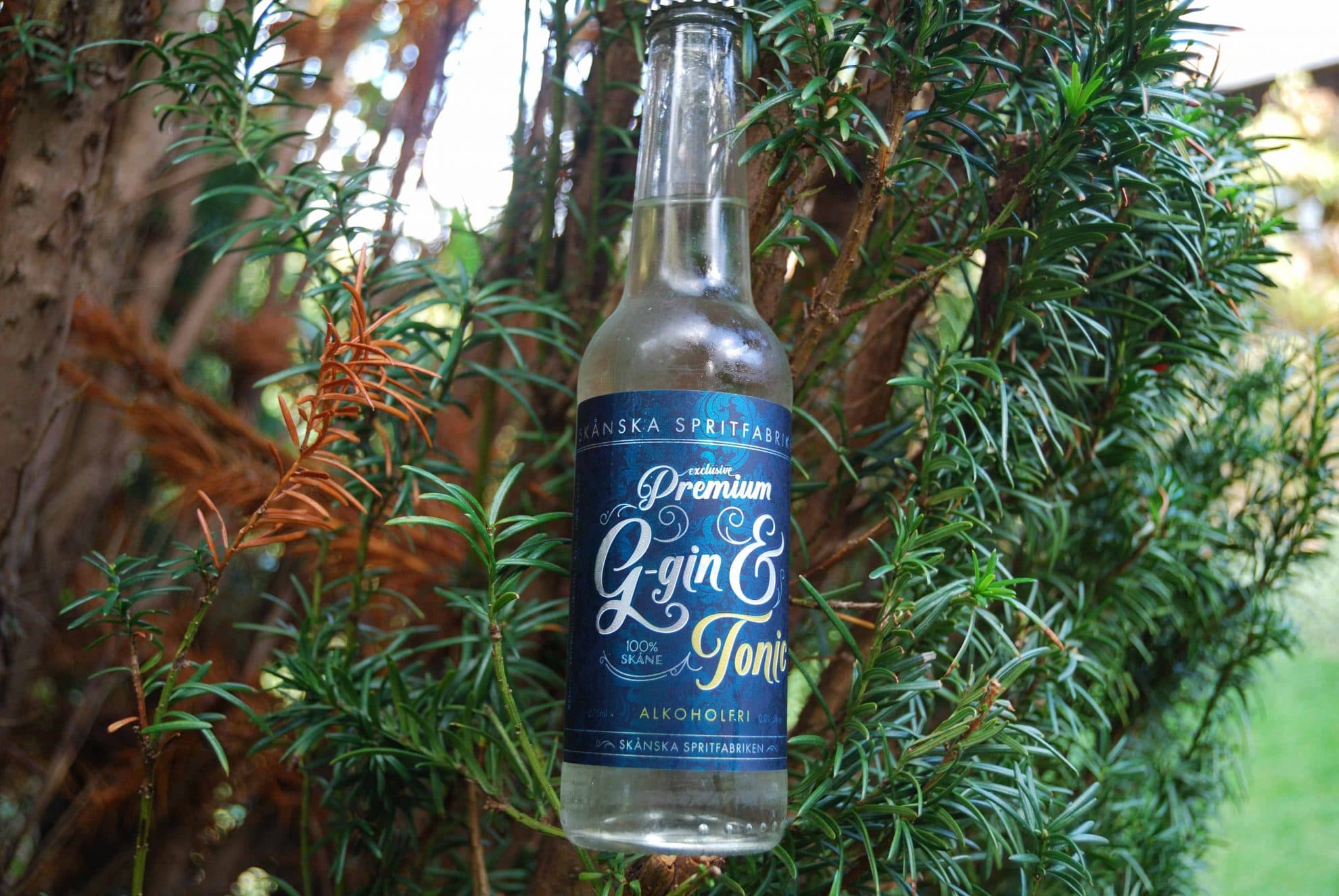 Bild från DinVinGuide