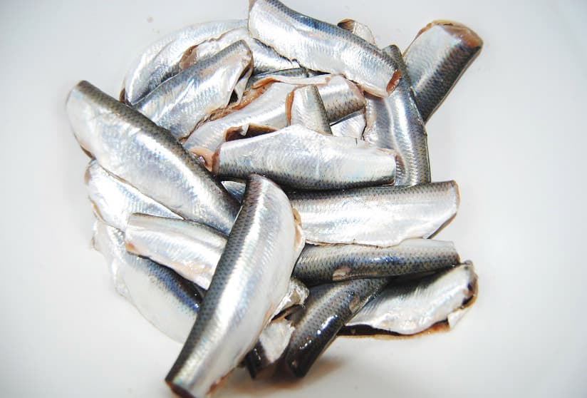 Bild från DinVinGuide