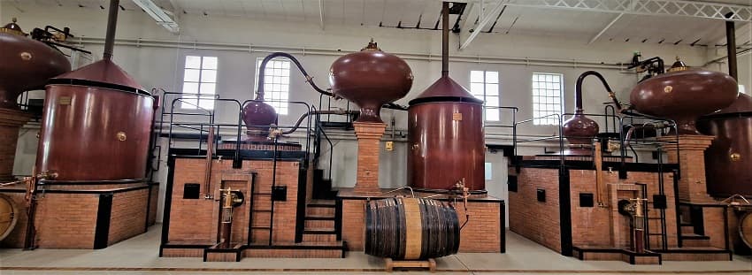 Bild från DinVinGuide