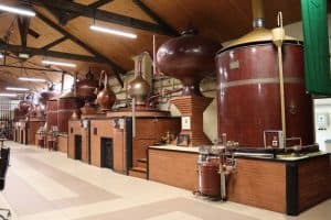 Bild från DinVinGuide