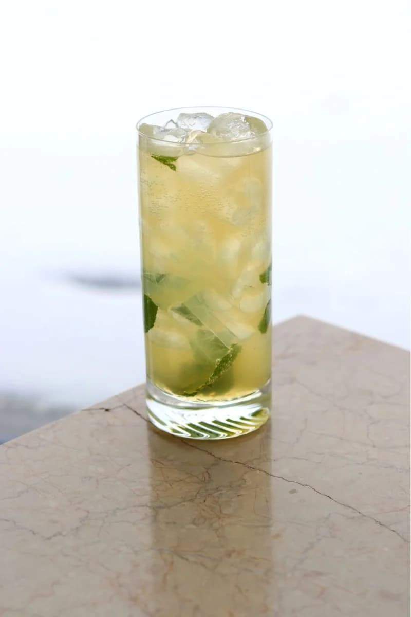 Bild på Planteray Fiji Herb Highball